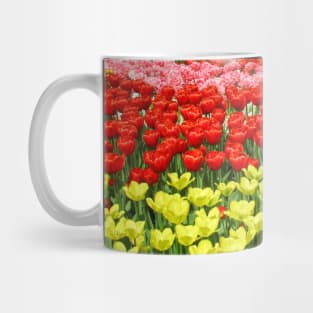 Keukenhof Tulip Festival, Holland Mug